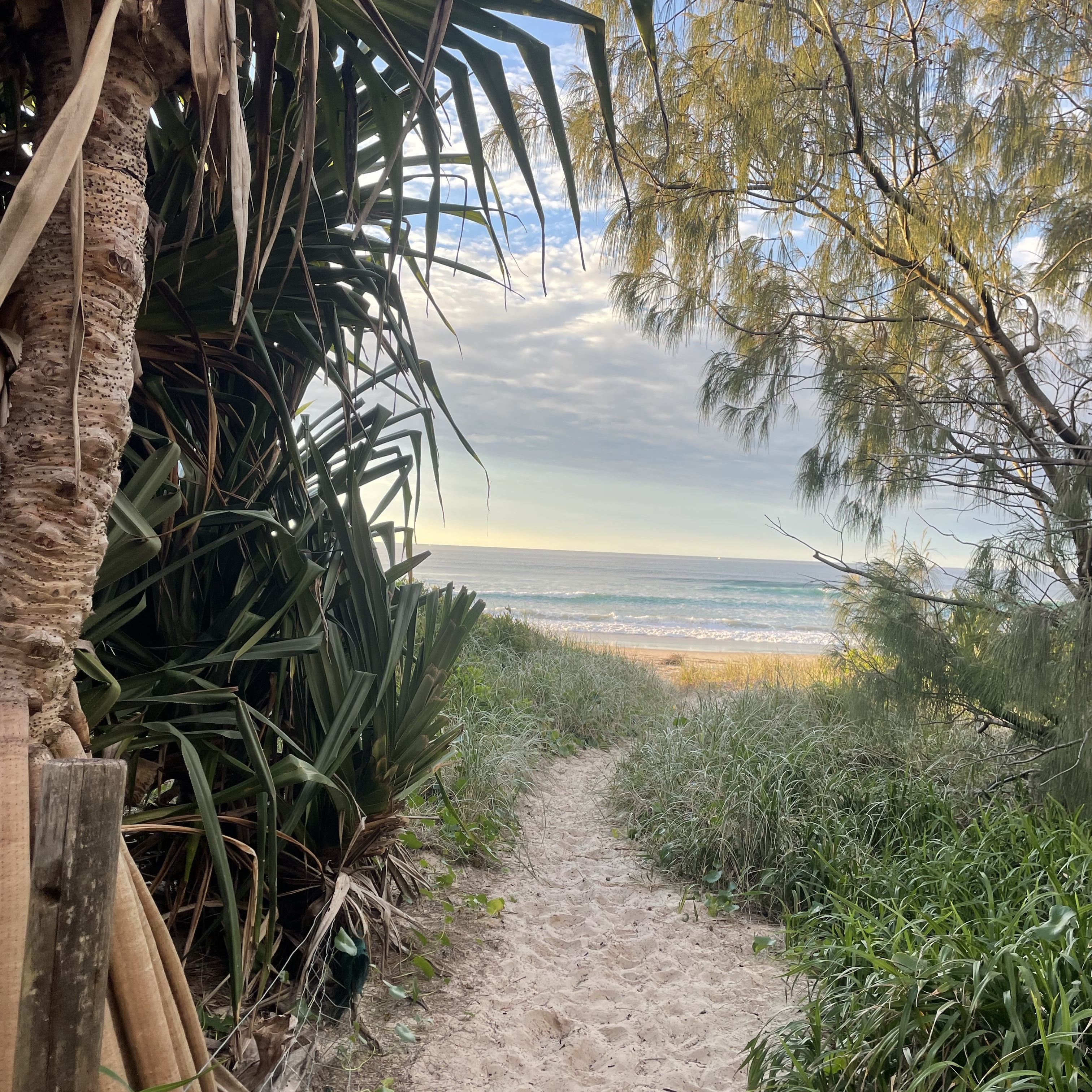 Jessica O’Malley Jones