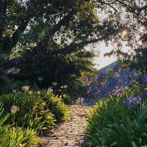 New Kids on the Walk