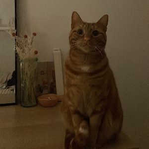 Raphaella Devine-McCormick